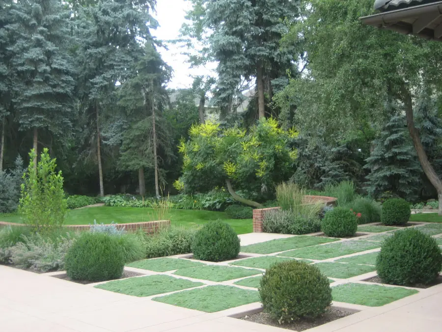 Contemporary Courtyard seen across the boxwoods toward the house