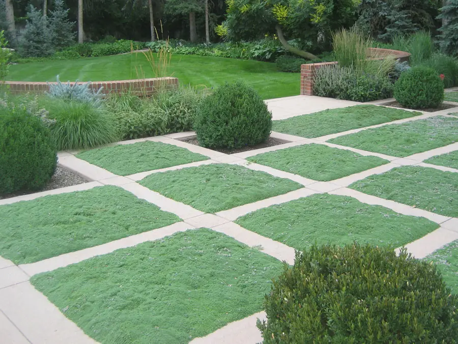 Stone grid and thyme panels in the Contemporary Courtyard