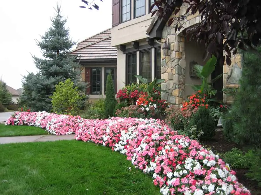 Curving shade border along the drive at Heritage Hills