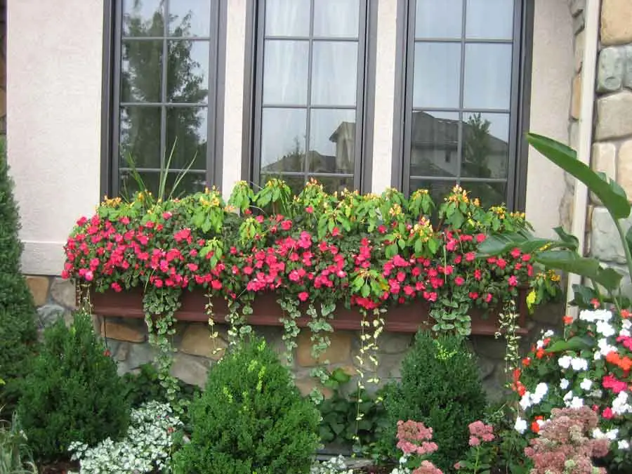 Planted window box over shade perennials at Heritage Hills