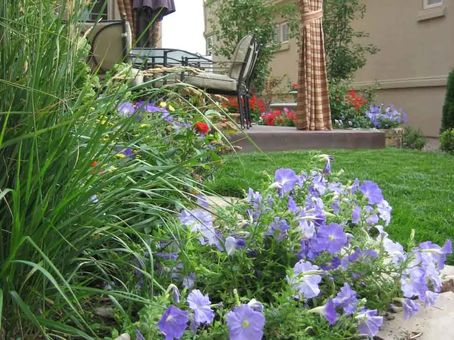 Blue flowers and a raised stone bed by the Lowry patio