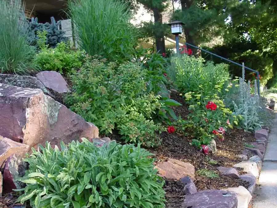 Boulders and perennials in a mountain-style front garden