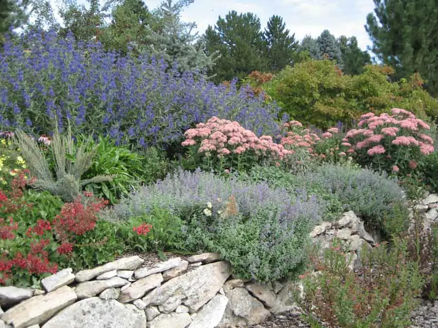 Massed perennials and dry-stacked stone on the hillside of the Natural Garden