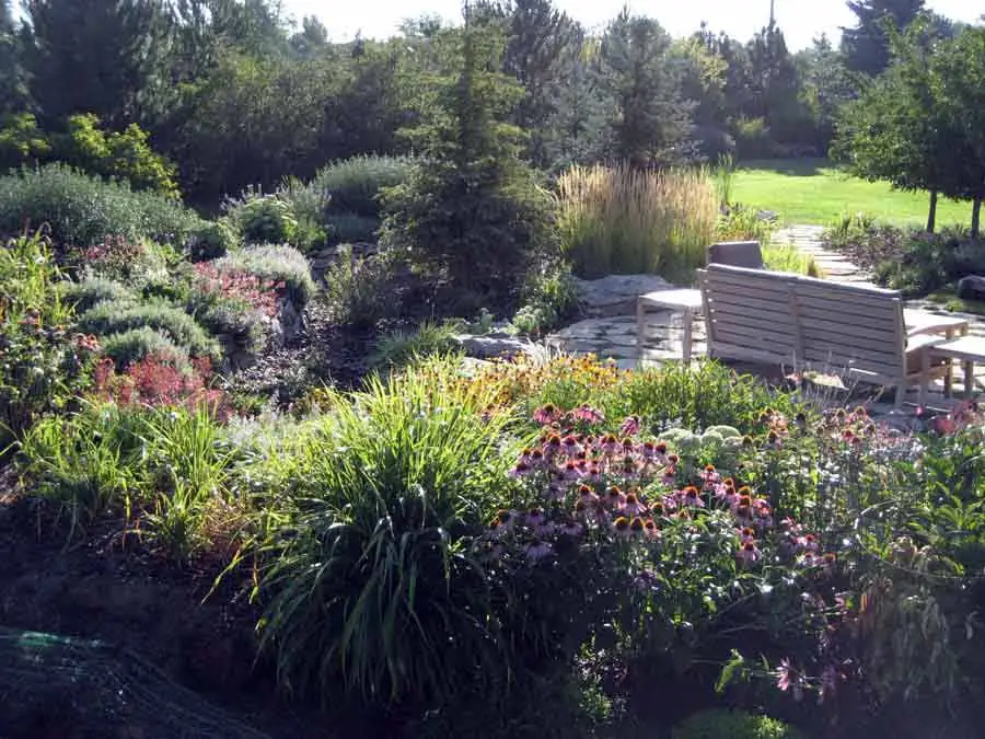 Planted slope and pool area in the Natural Garden