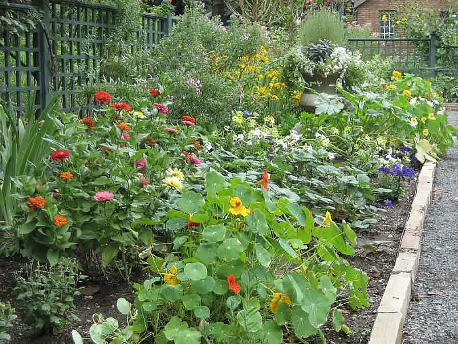 Vegetables and flowers growing in the Potager Garden beds