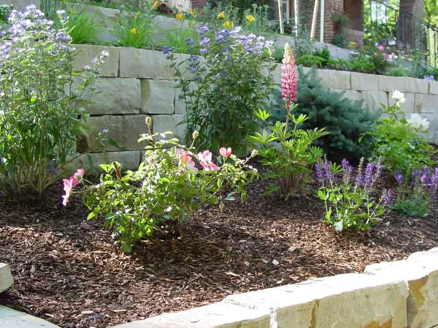 Planted stone terraces with steps and an iron rail in Washington Park