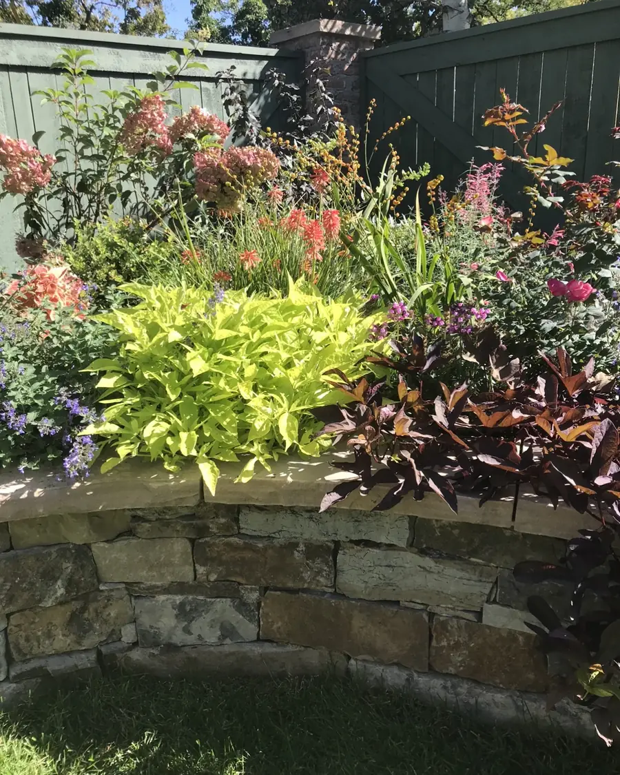 Raised stone bed planted with coleus and perennials in a Stonegate garden