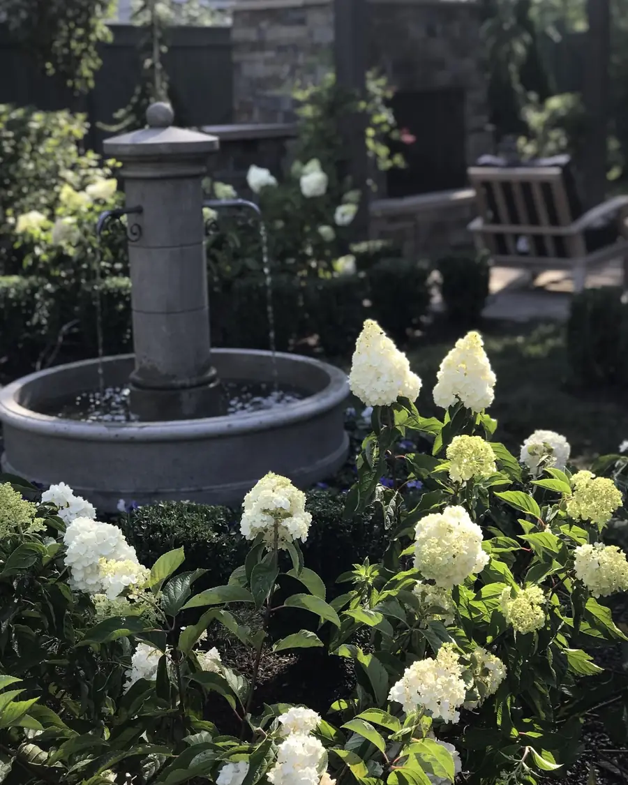 Tiered stone fountain among white hydrangeas