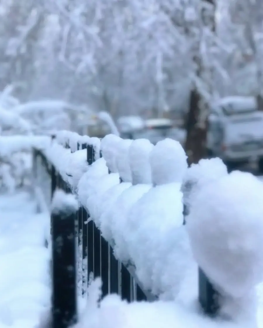 Snow-covered iron fence and walk cleared by Stonegate crews