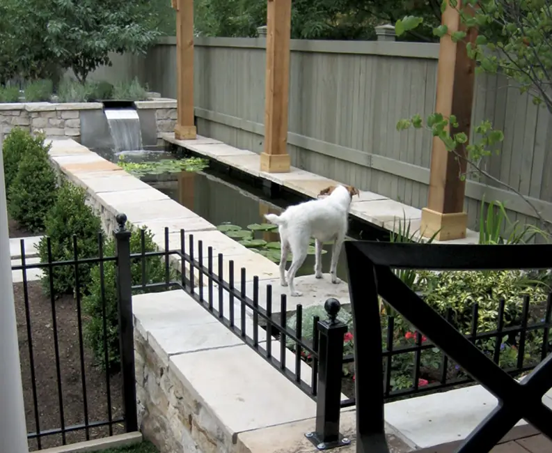 The koi channel and pergola garden, then and now. 2001